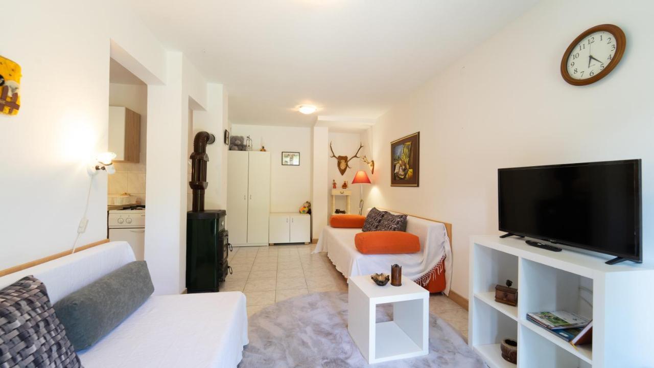Appartement Karolina à Fužine Extérieur photo