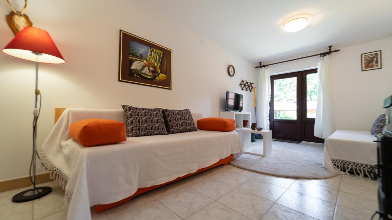 Appartement Karolina à Fužine Extérieur photo