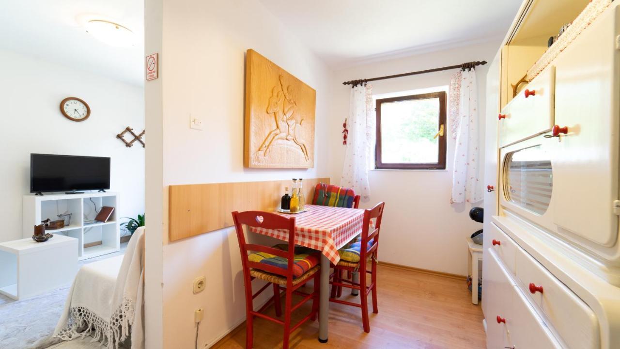 Appartement Karolina à Fužine Extérieur photo